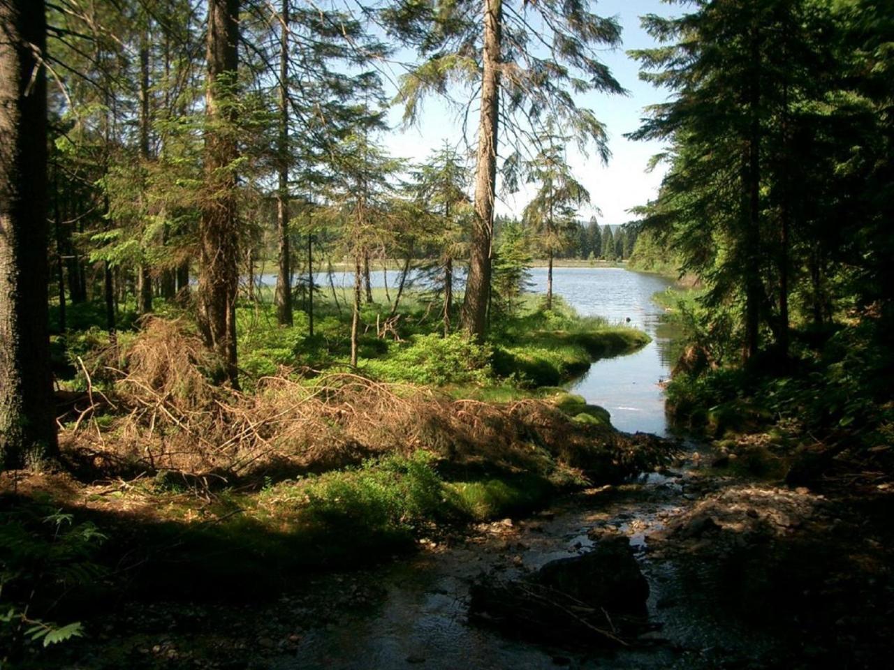 Ferienhof Ellerbeck Langdorf  Exterior foto